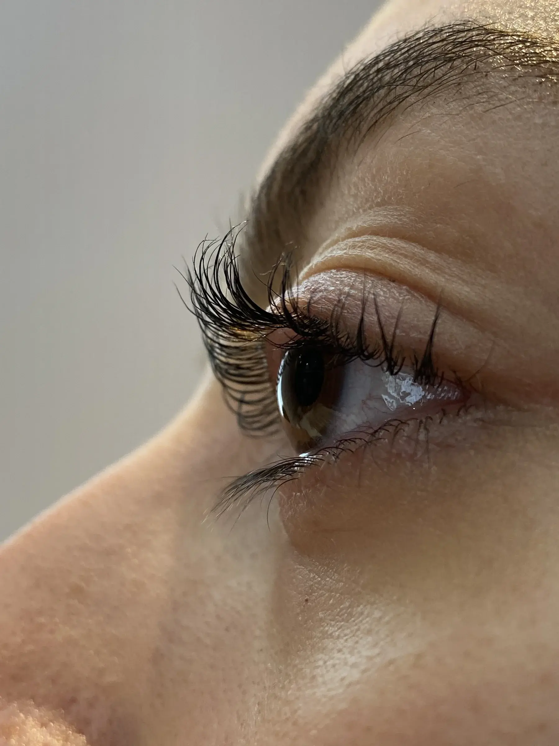 Ergebnis eines Wimpernliftings im House of Shido — natürlich geschwungene Wimpern in Nahaufnahme
